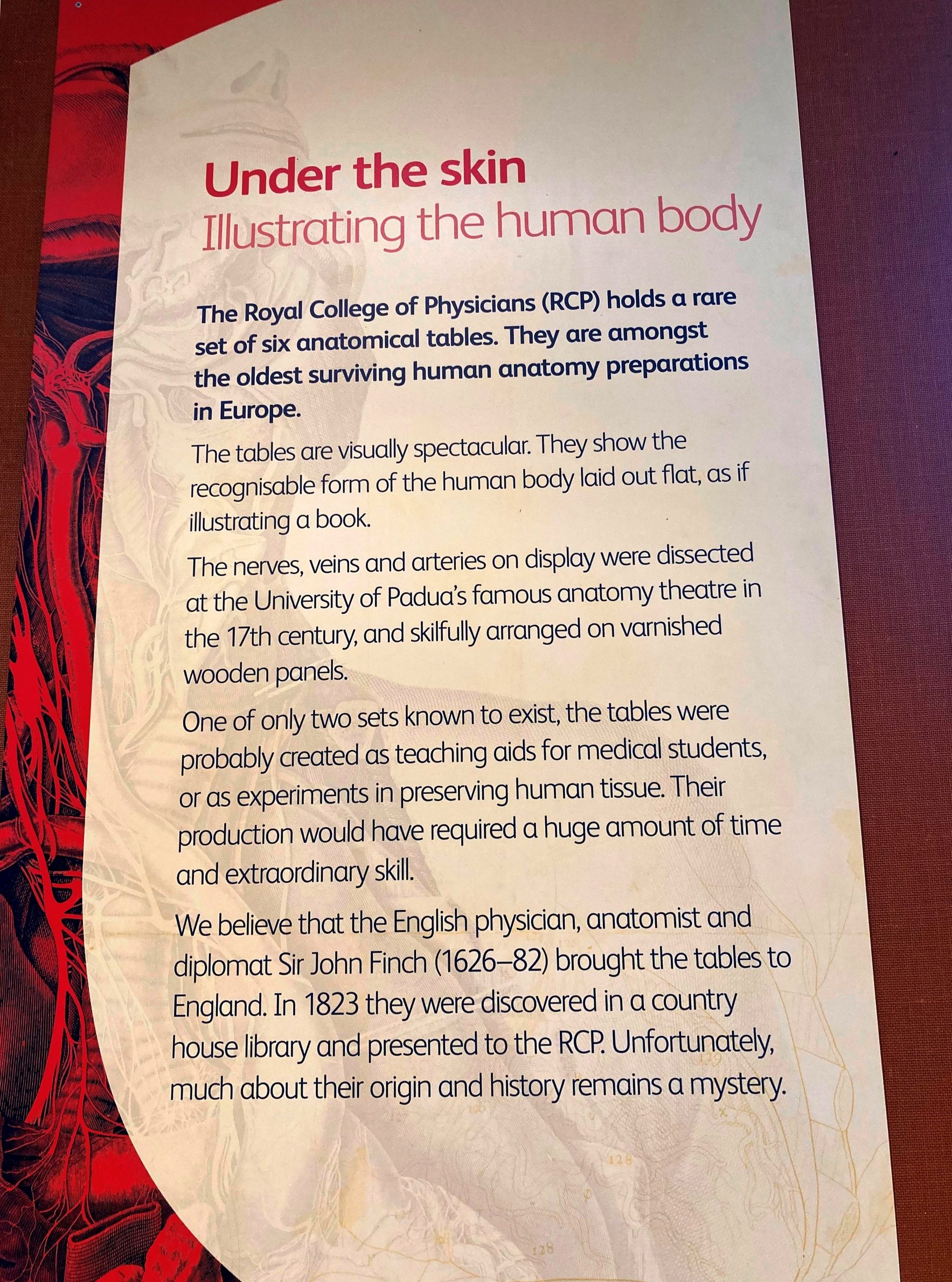 RCP Anatomical tables, London by Domiziana Nardelli and Francesco Gambioli - 02.jpeg